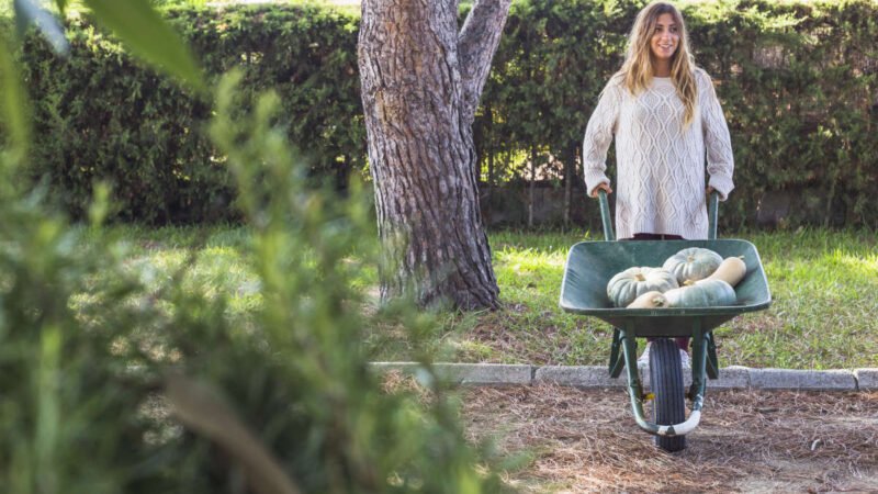 Aménagement extérieur : valoriser un terrain sans gros travaux