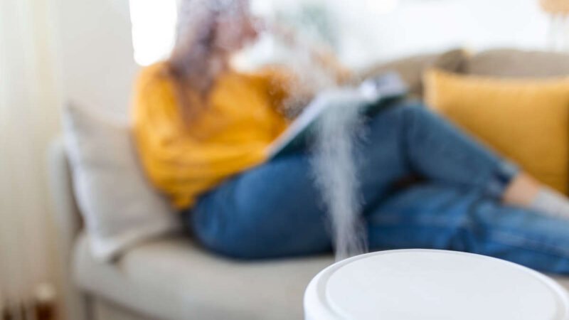Guide pour sélectionner l’humidificateur idéal pour espaces arides