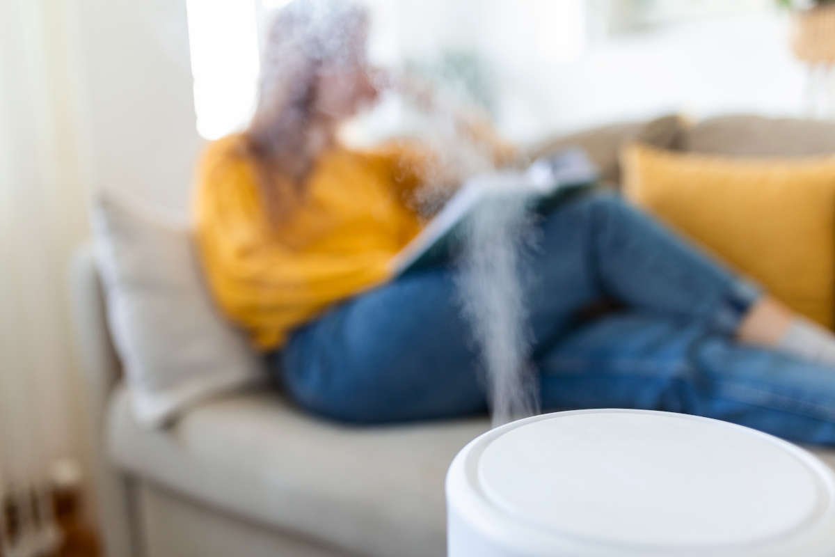 Guide pour sélectionner l’humidificateur idéal pour espaces arides