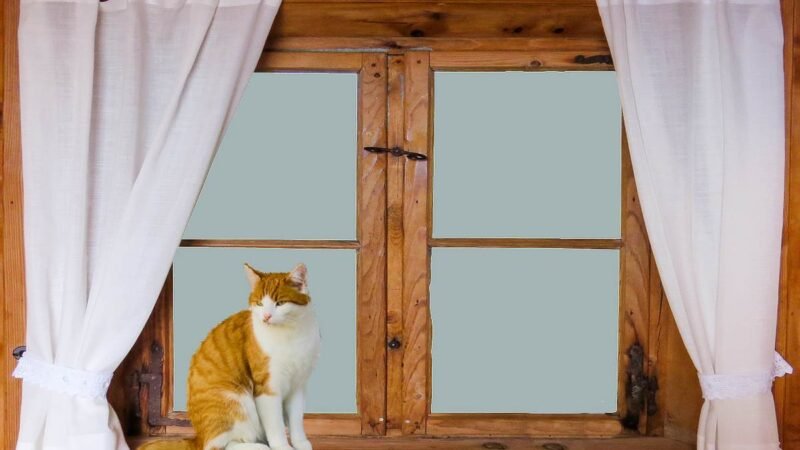 Fenêtre en bois qui baille : régler le jeu avant de changer le dormant