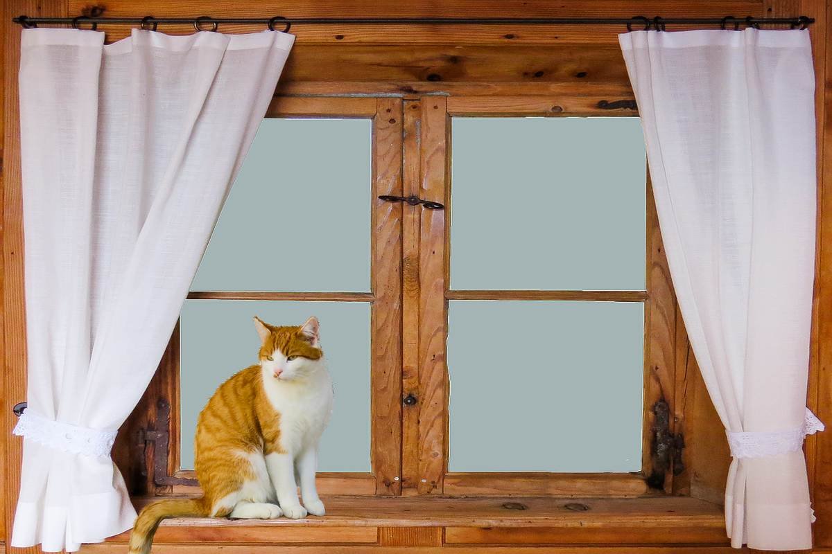 Fenêtre en bois qui baille : régler le jeu avant de changer le dormant